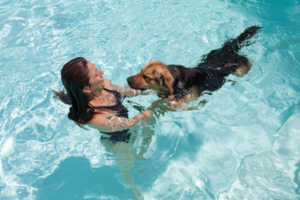 Teach your dog to swim